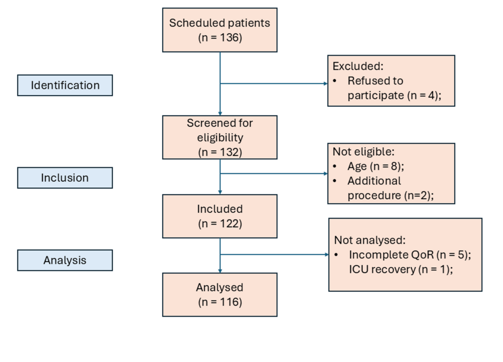 Organization-Chart-of-Research-Participants