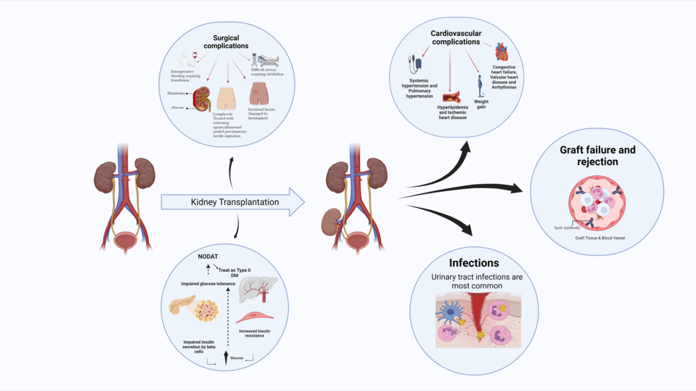 how to calculate reduction potential glutathione Glutathione and GlutaredoxinKey Players in Cellular Redox Homeostasis and  Signaling