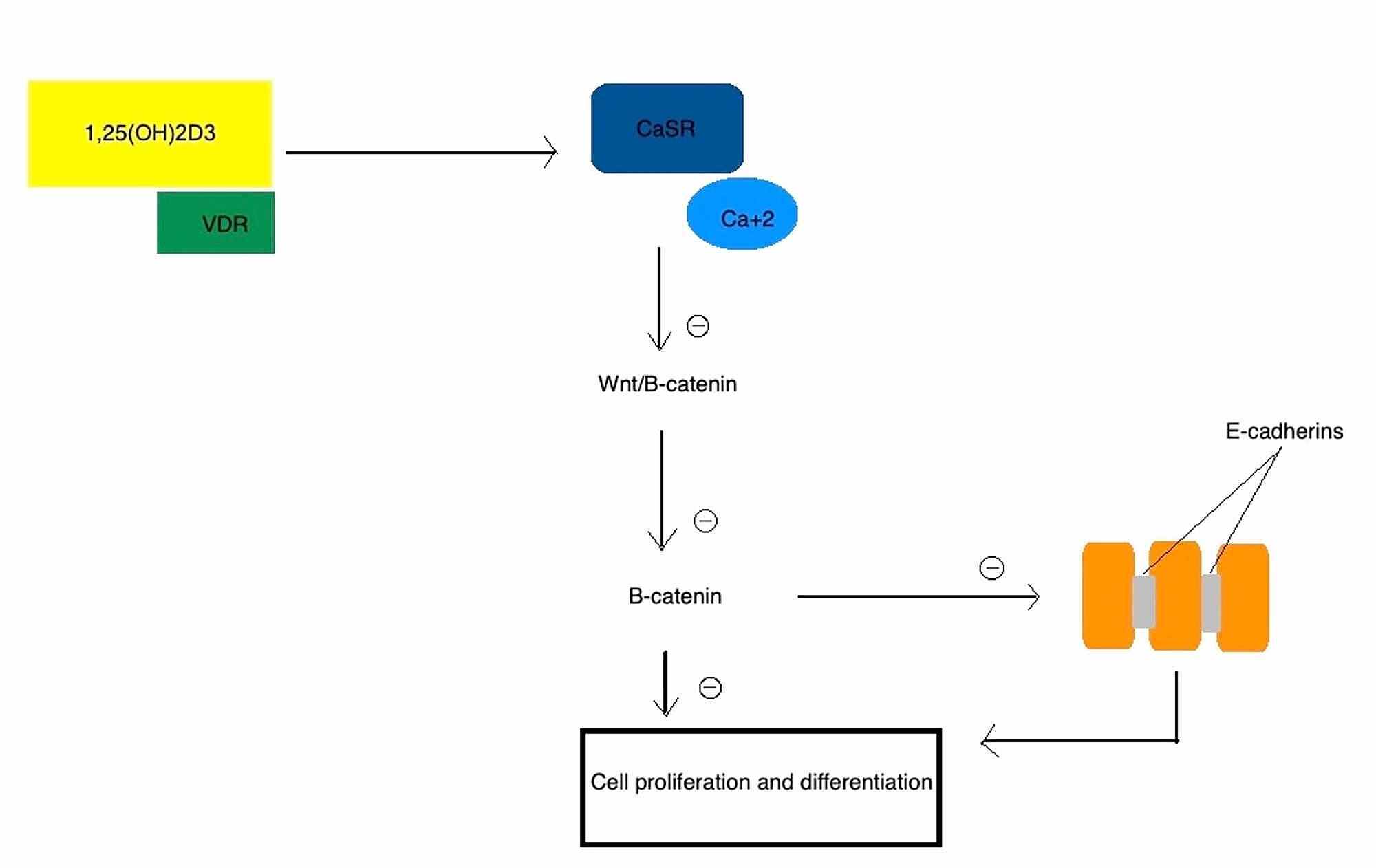 Cureus Role of Vitamin D in Colorectal Cancer A Holistic Approach