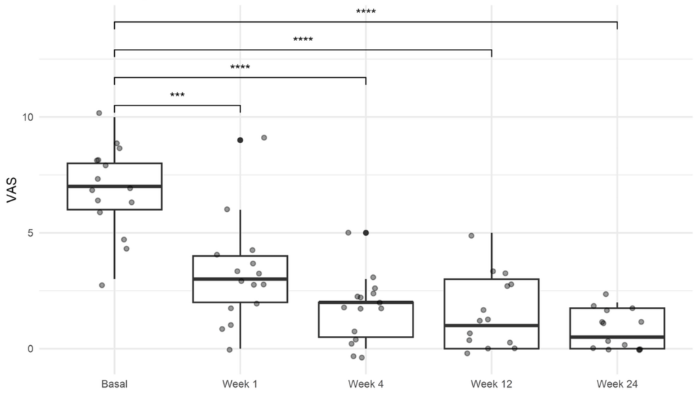 Results-of-the-visual-analog-scale-(VAS)-for-pain.