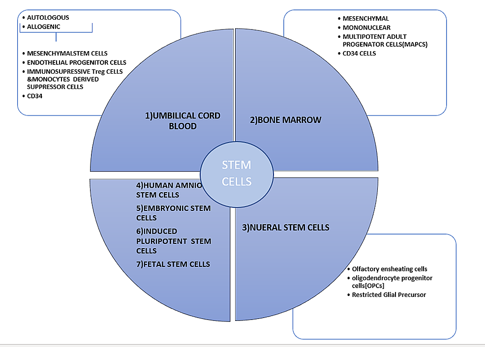 stem cell chart