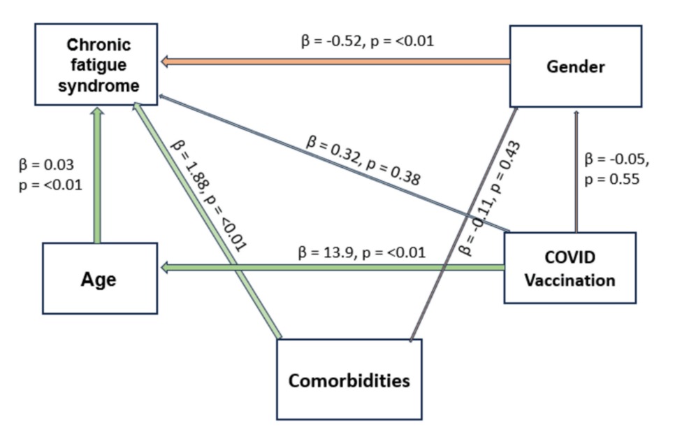 Path-analysis-showing-the-relationship-between-chronic-fatigue-syndrome-and-its-predictors Path-analysis-showing-the-relationship-between-chronic-fatigue-syndrome-and-its-predictors