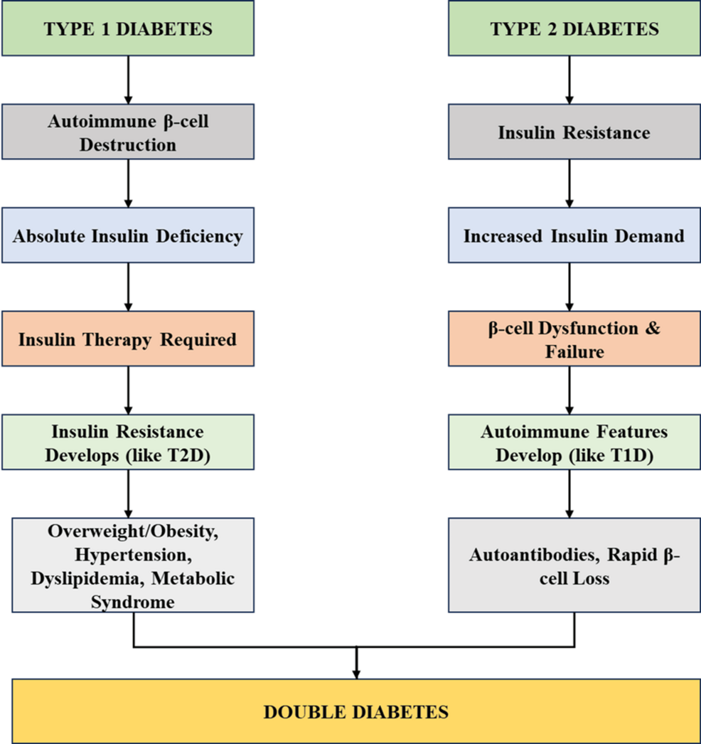 semaglutide for heart Danny D. | ❤️ New heart health data for oral GLP-1s! A study published in  *JAMA Internal Medicine* finds that oral semaglutide is associated with  a