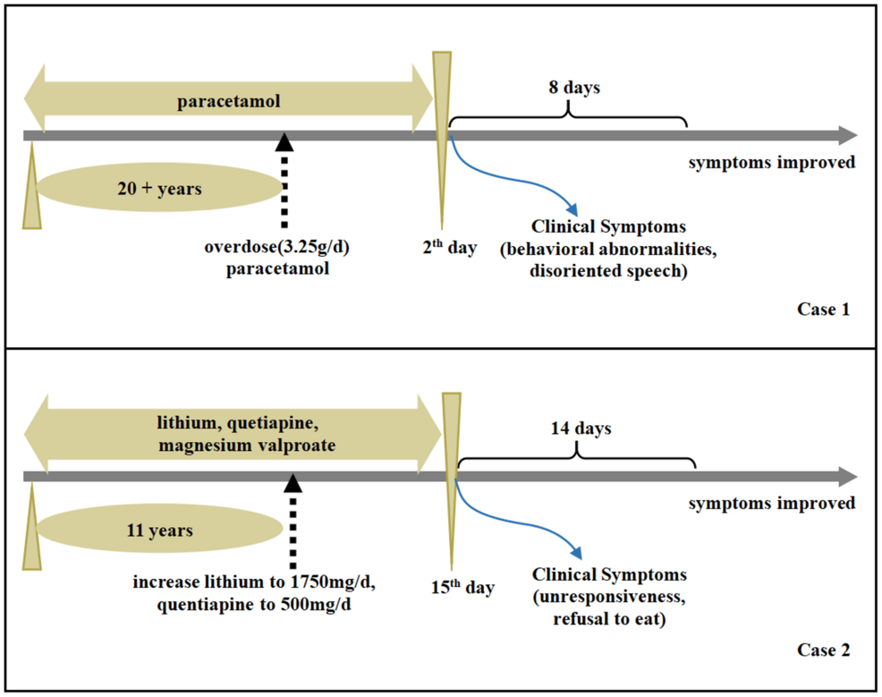 Reversible Splenial Lesion Syndrome Induced by Paracetamol and Lithium: A  Report of Two Cases and Literature Review