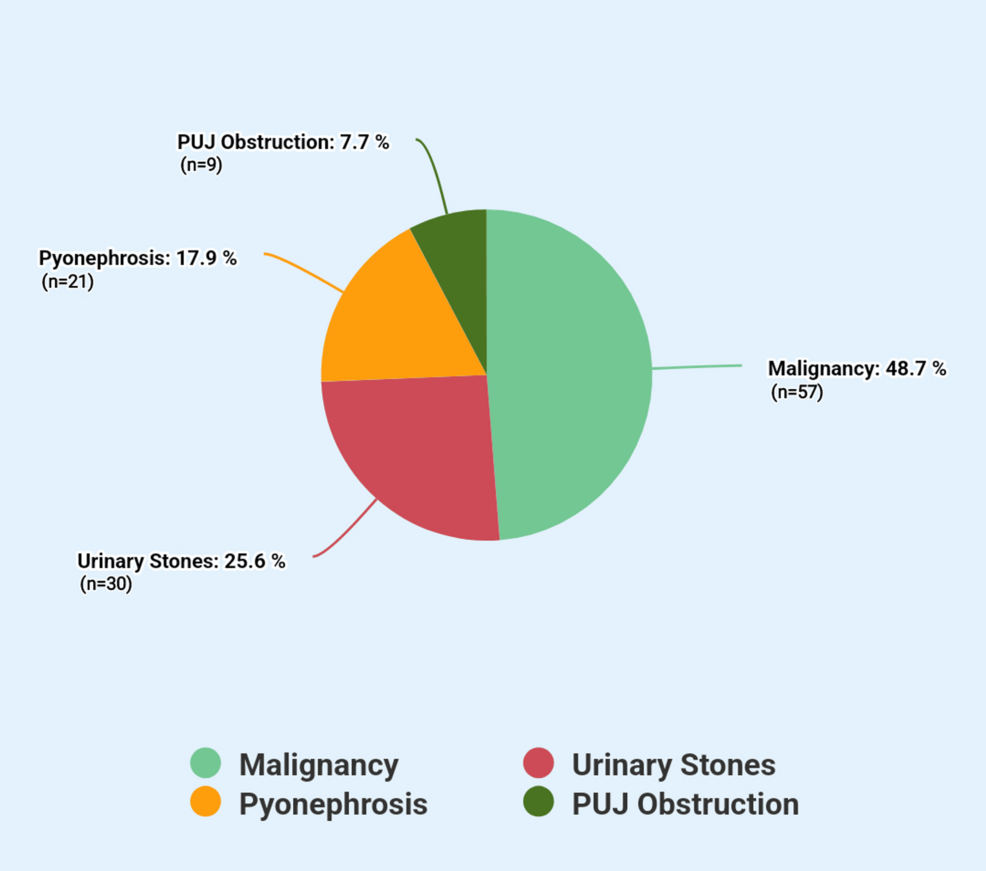 A Study Conducted on Complications Associated With Percutaneous Nephrostomy  (PCN) at a Tertiary Care Center in Peshawar, Pakistan | Cureus