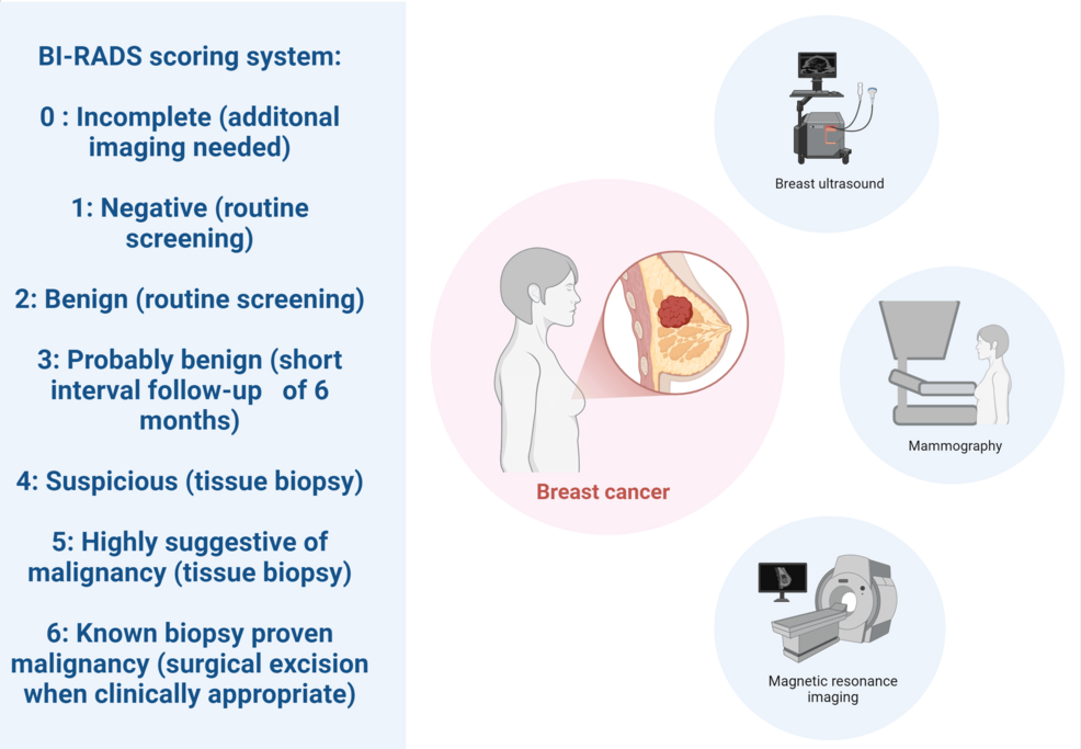 Exploring the Evolution of Breast Cancer Imaging: A Review of