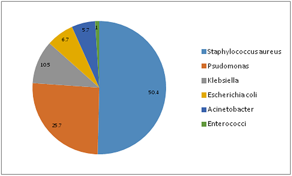 Distribution-of-micro-organisms-involved-in-neonatal-sepsis.