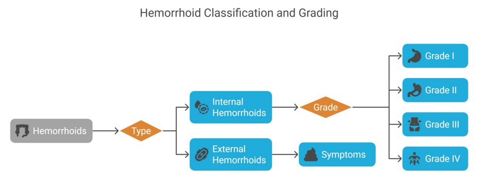 Natural Products in Hemorrhoid Management: A Comprehensive Literature  Review of Traditional Herbal Remedies and Evidence-Based Therapies | Cureus