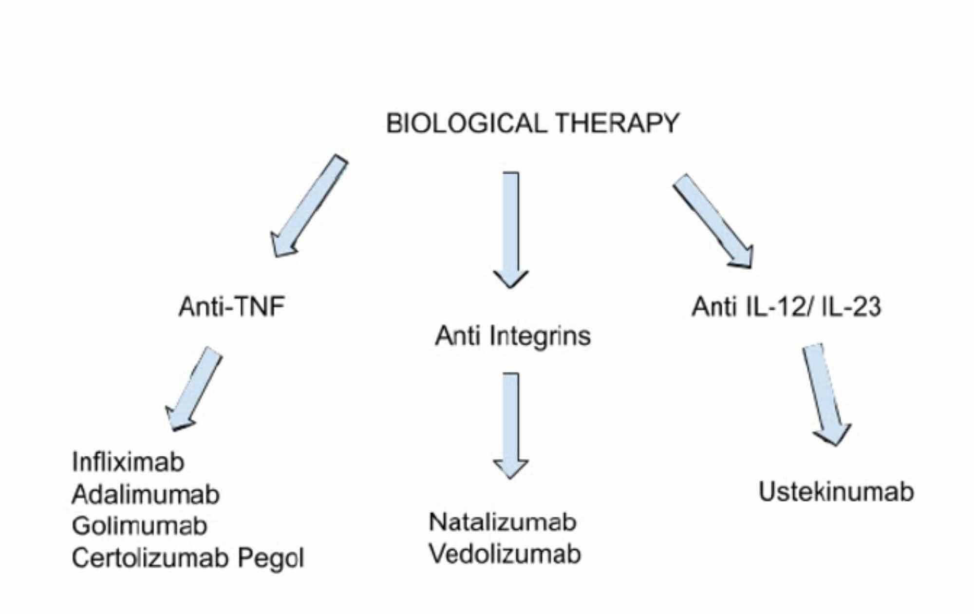 Cureus Biologics Targeting In The Treatment Of Inflammatory Bowel Disease A Conundrum