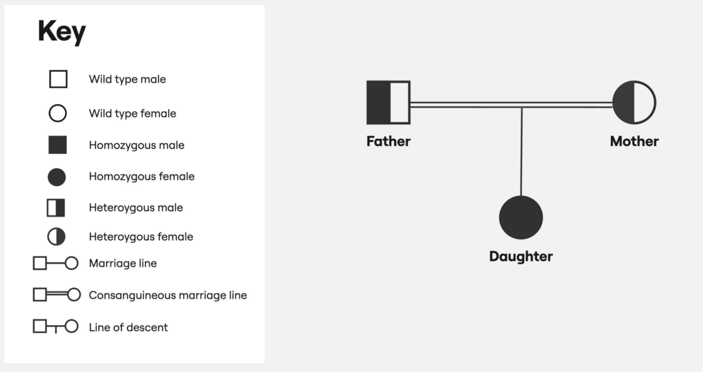 Pedigree Diagram of GPI Deficiency