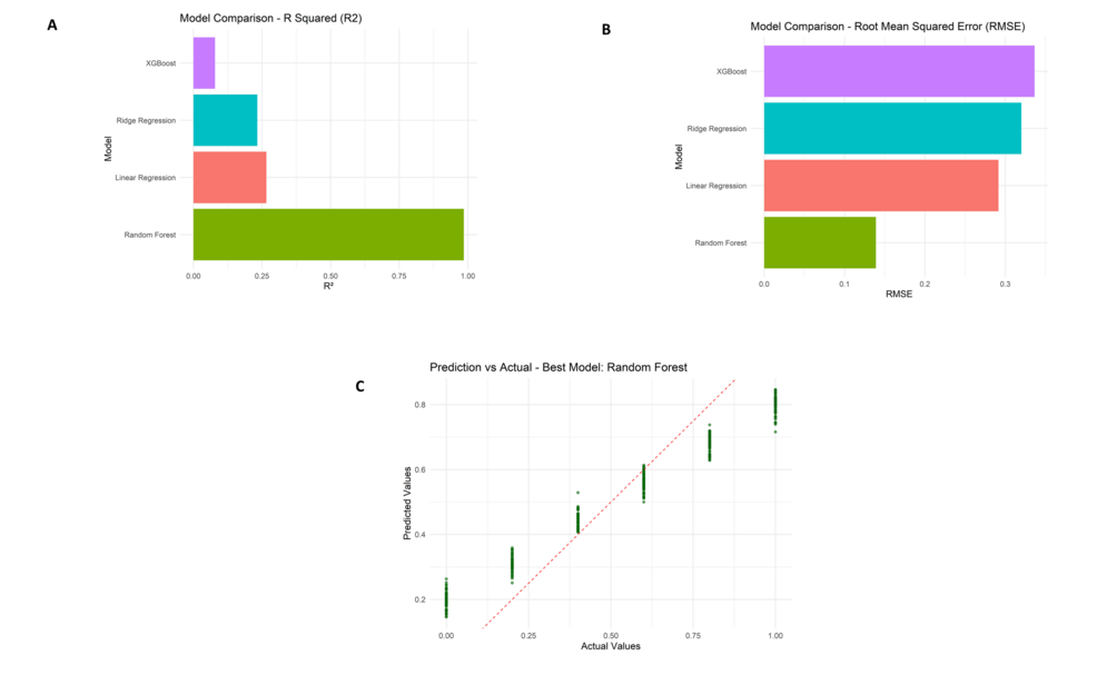 Model-performance-metrics-comparison-including-R²-values-(A),-root-mean-squared-error-(RMSE)-scores-(B),-and-prediction-versus-actual-value-scatter-plot-for-the-random-forest-model-(C). Model-performance-metrics-comparison-including-R²-values-(A),-root-mean-squared-error-(RMSE)-scores-(B),-and-prediction-versus-actual-value-scatter-plot-for-the-random-forest-model-(C).