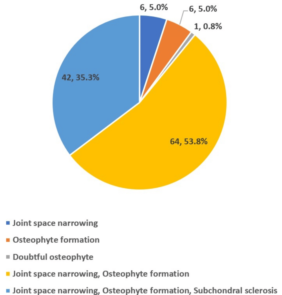 Graphical-representation-of-findings-of-the-sample-population-in-knee-X-ray-(n=119)