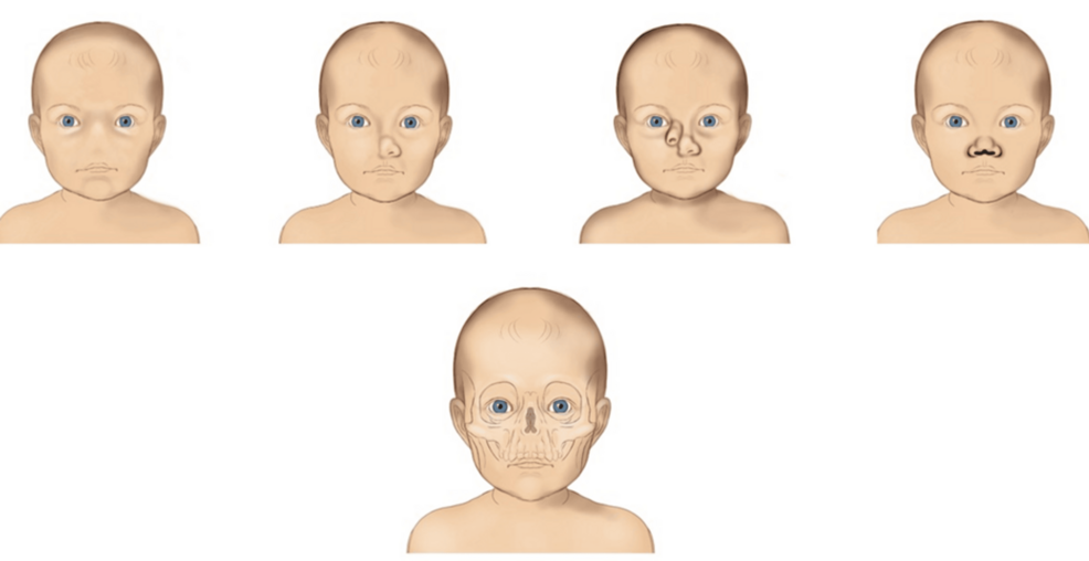 Seks super kelichak Shirin mushuk sharbati