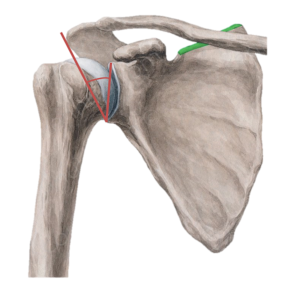 Pictorial-description-of-the-critical-shoulder-angle-