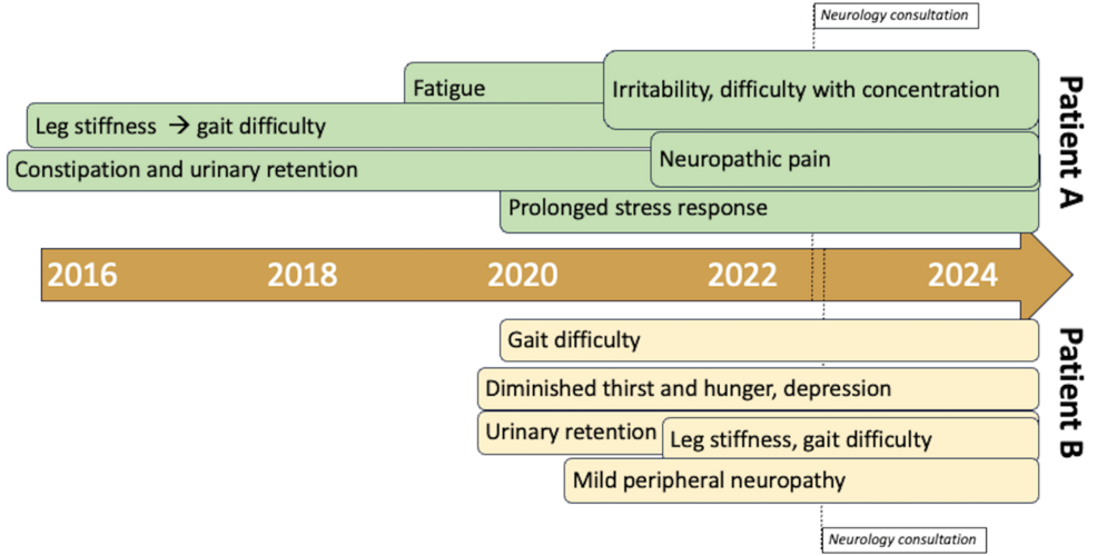 Neuroimaging Patterns in Twins