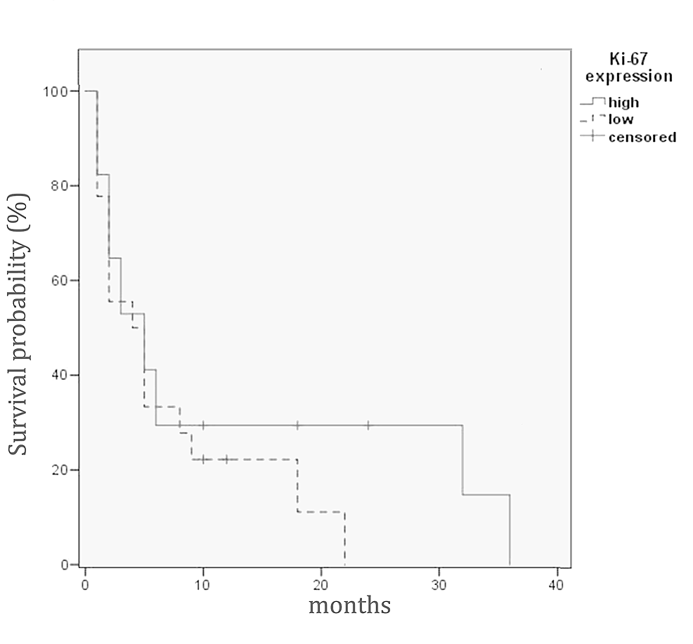 Kaplan-Meier-estimates-of-WHO-grade-IV-astrocytic-tumor-patients'-survival-by-Ki-67-index-levels-(dichotomized-by-median-value-to-high-and-low-expression-levels).