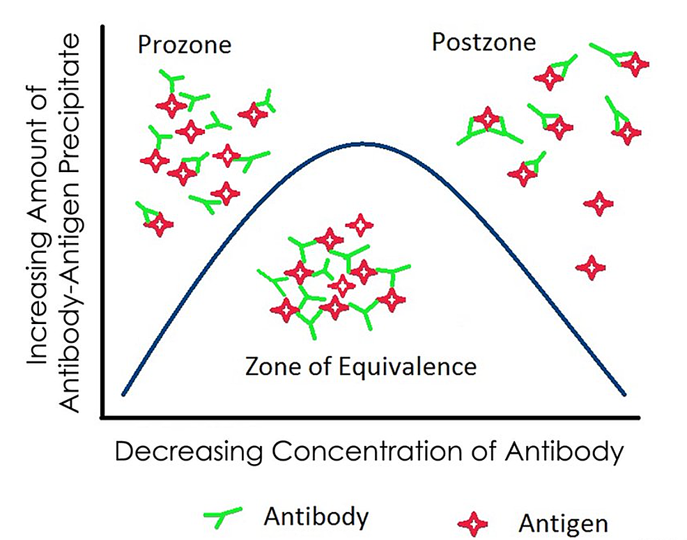 Prozone Effect