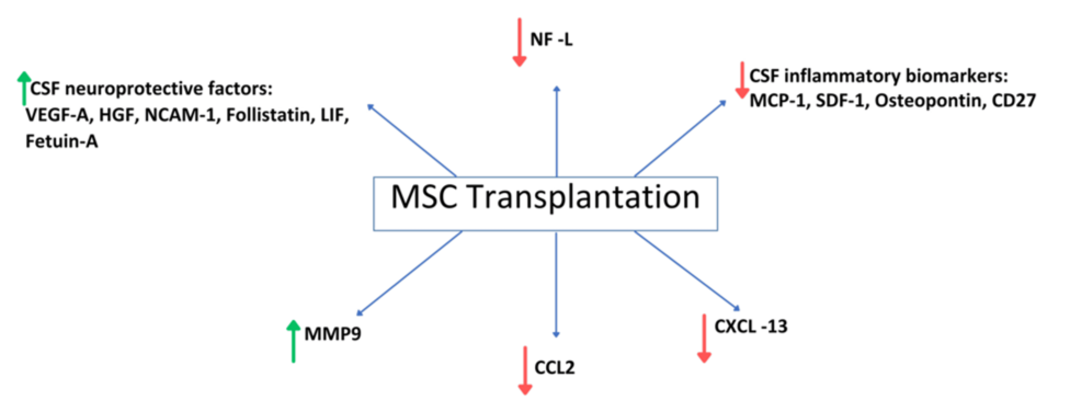 Alterations-in-CSF-biomarkers-following-MSC-transplantation.