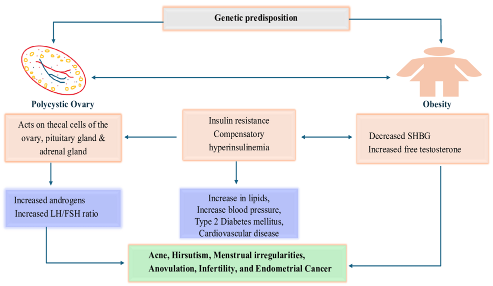 Revisiting Metformin in the Management of Polycystic Ovary Syndrome (PCOS) 