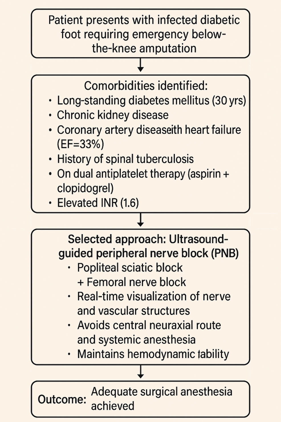 Summary-of-the-workflow Summary-of-the-workflow