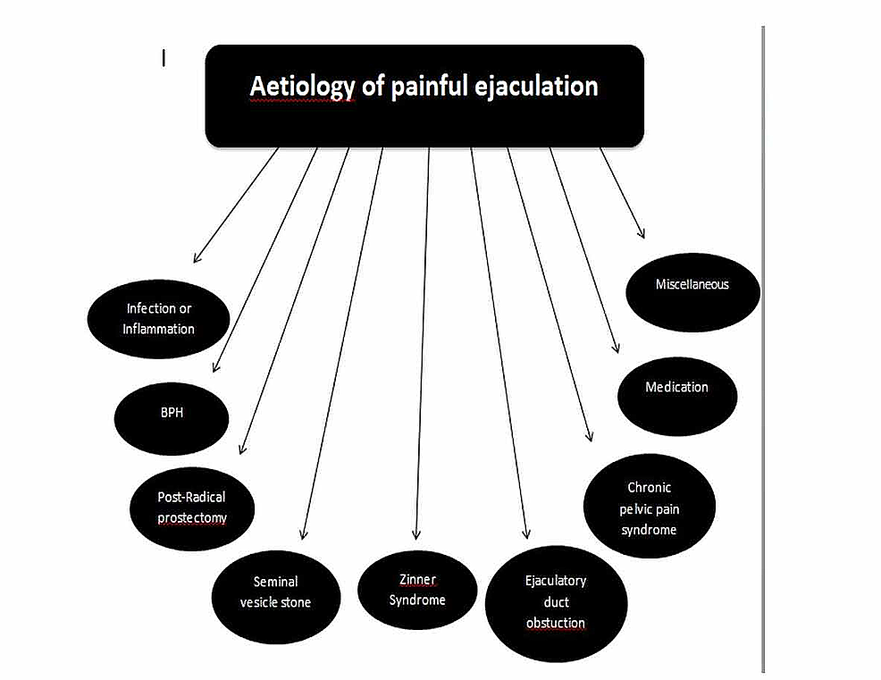 Aetiology-of-painful-ejaculation