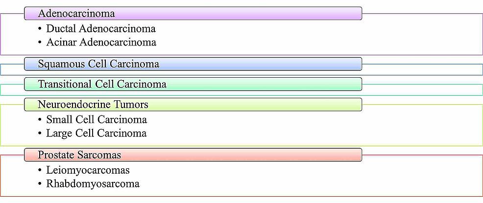 The-different-types-of-prostate-cancer