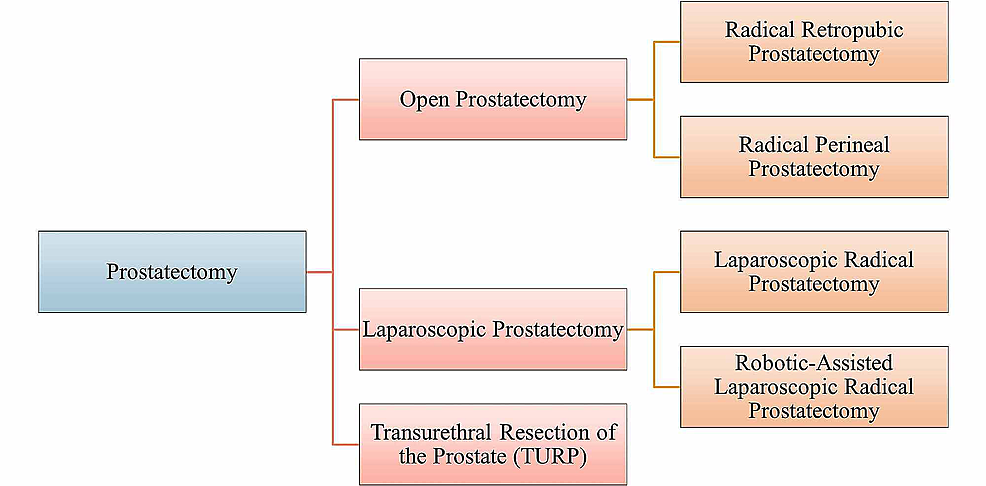 Different-methods-of-prostatectomy-