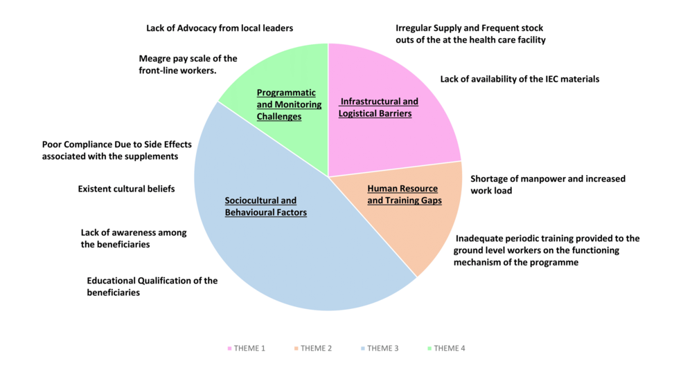 Bottlenecks in the Coverage of the Anemia Mukt Bharat Programme in Rural Jharkhand and the Way Forward: A Qualitative Research