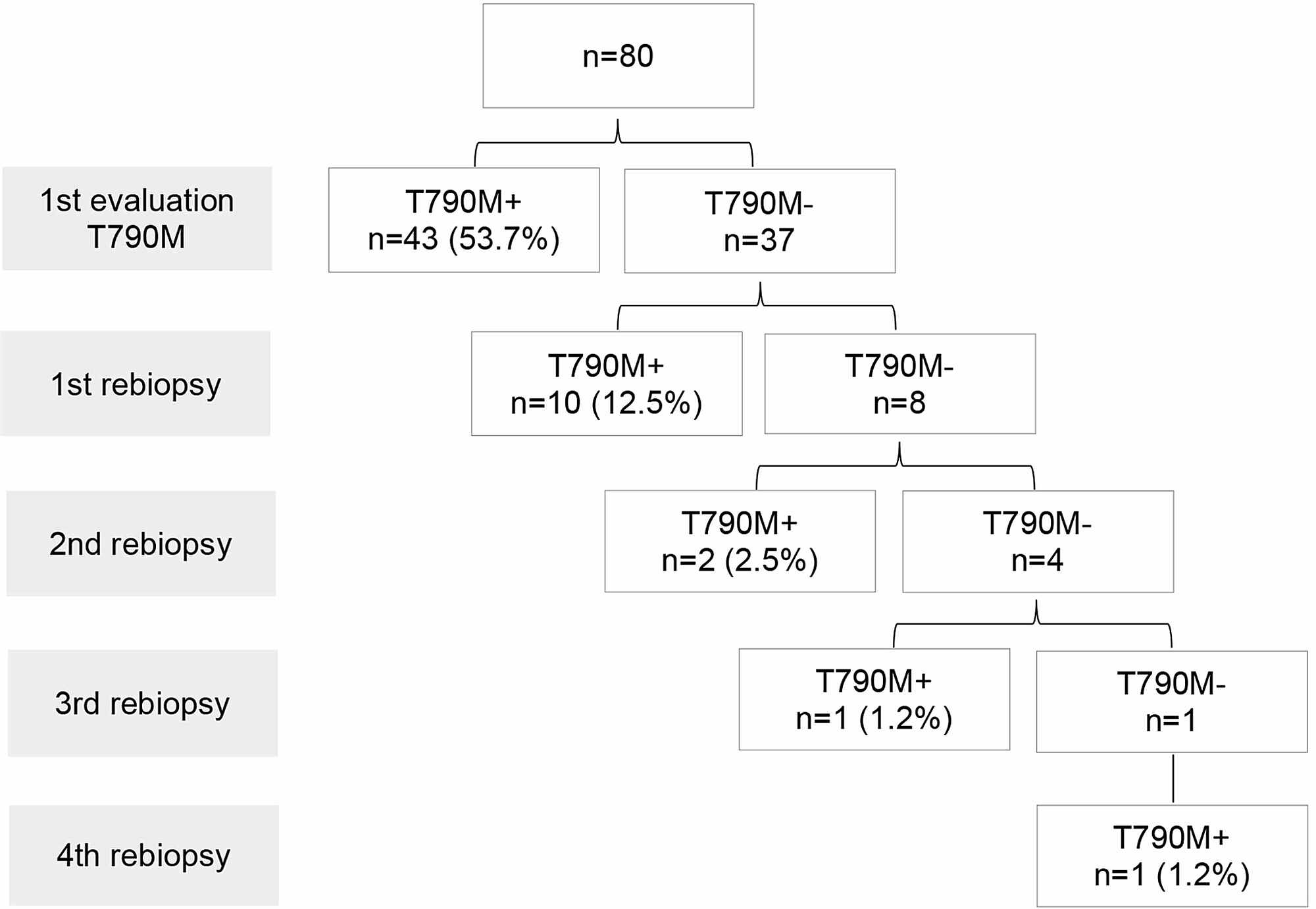 Real-World T790M Mutation Frequency And Impact Of Rebiopsy In Patients ...