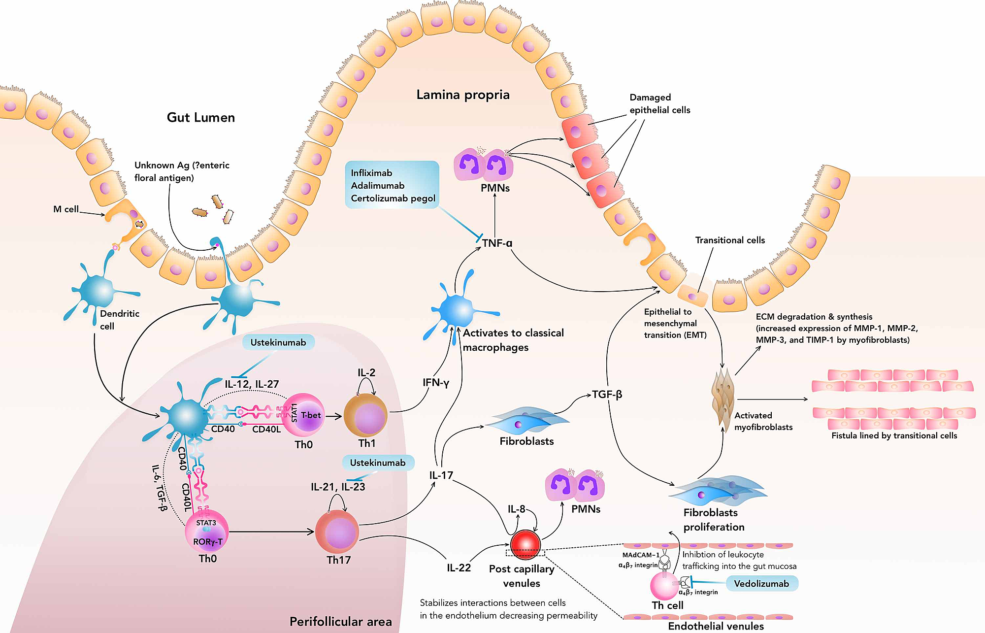 Cureus Comparison of the Efficacy of the Various Treatment Modalities
