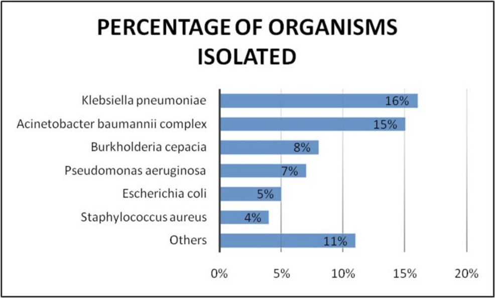 Bacteriological Profile and Antimicrobial Resistance Patterns in Neonatal Sepsis: Special Reference to Klebsiella pneumoniae at a Tertiary Care Hospital in Eastern India