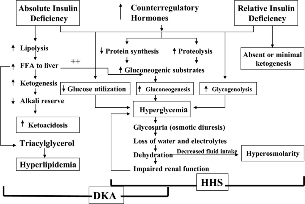 acetyl l carnitine depression reddit Management of Chronic Uncontrolled Diabetes With Ketoacidosis and  Hyperosmolar Hyperglycemic State