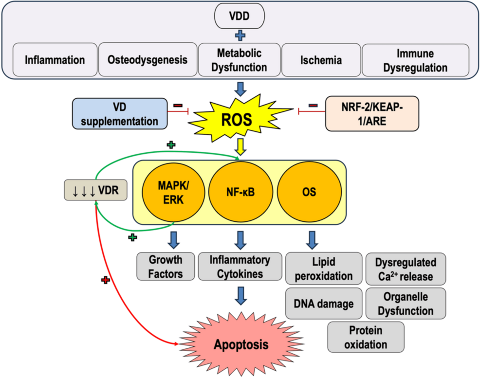 glutathione adhd reddit Antioxidants as a Potential Target against Inflammation and Oxidative Stress in Attention-Deficit/Hyperactivity Disorder PointofCare Health Diagnostics and Food