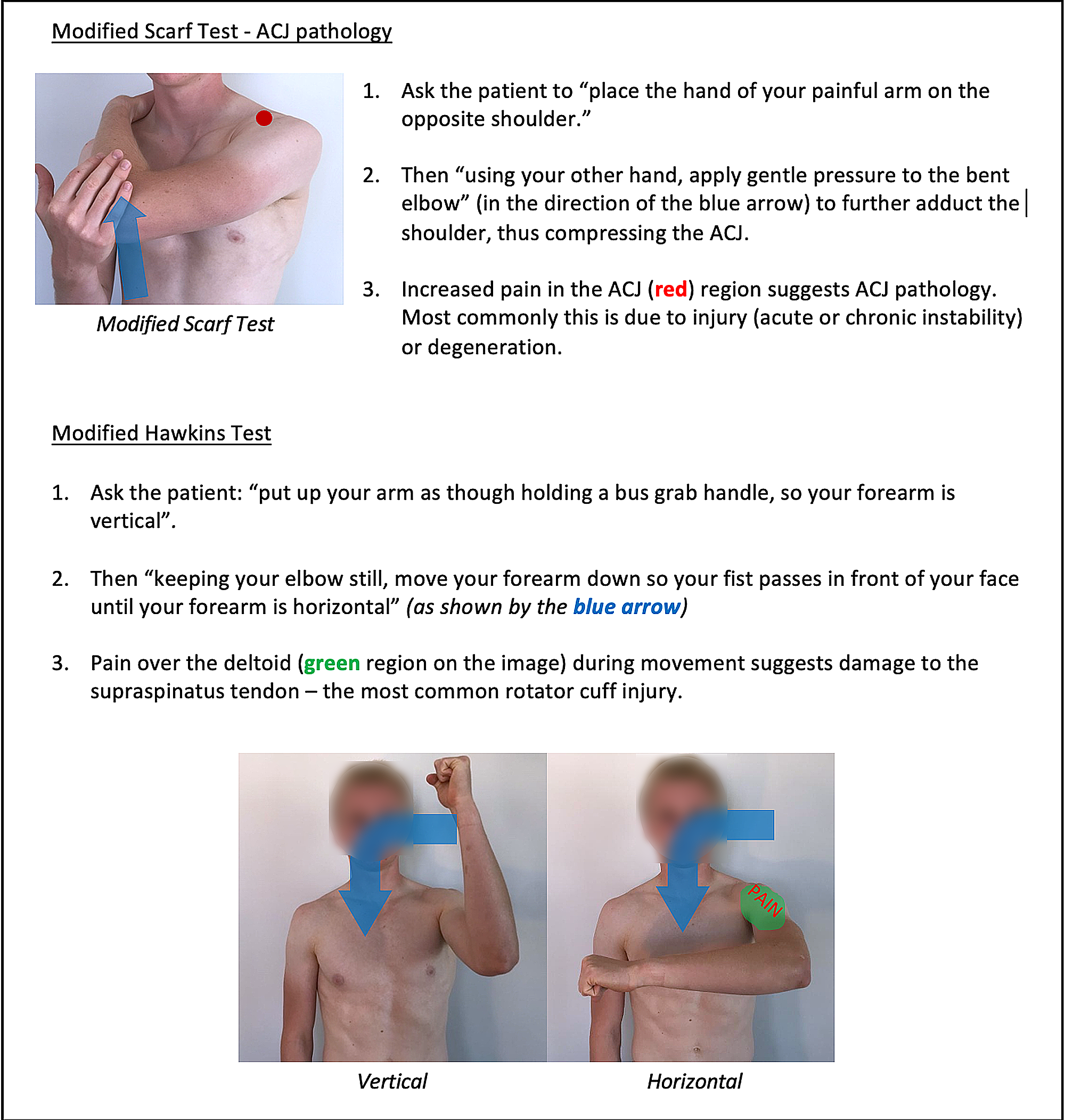 Cureus | Remote Musculoskeletal Assessment Framework: A Guide For ...