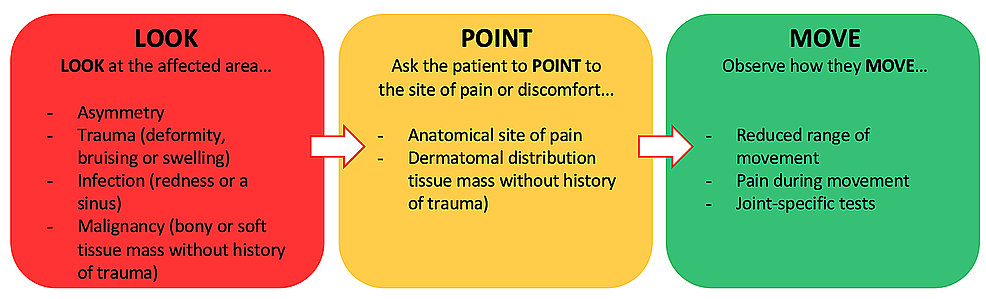 Remote Musculoskeletal Assessment Framework: A Guide for Primary Care ...