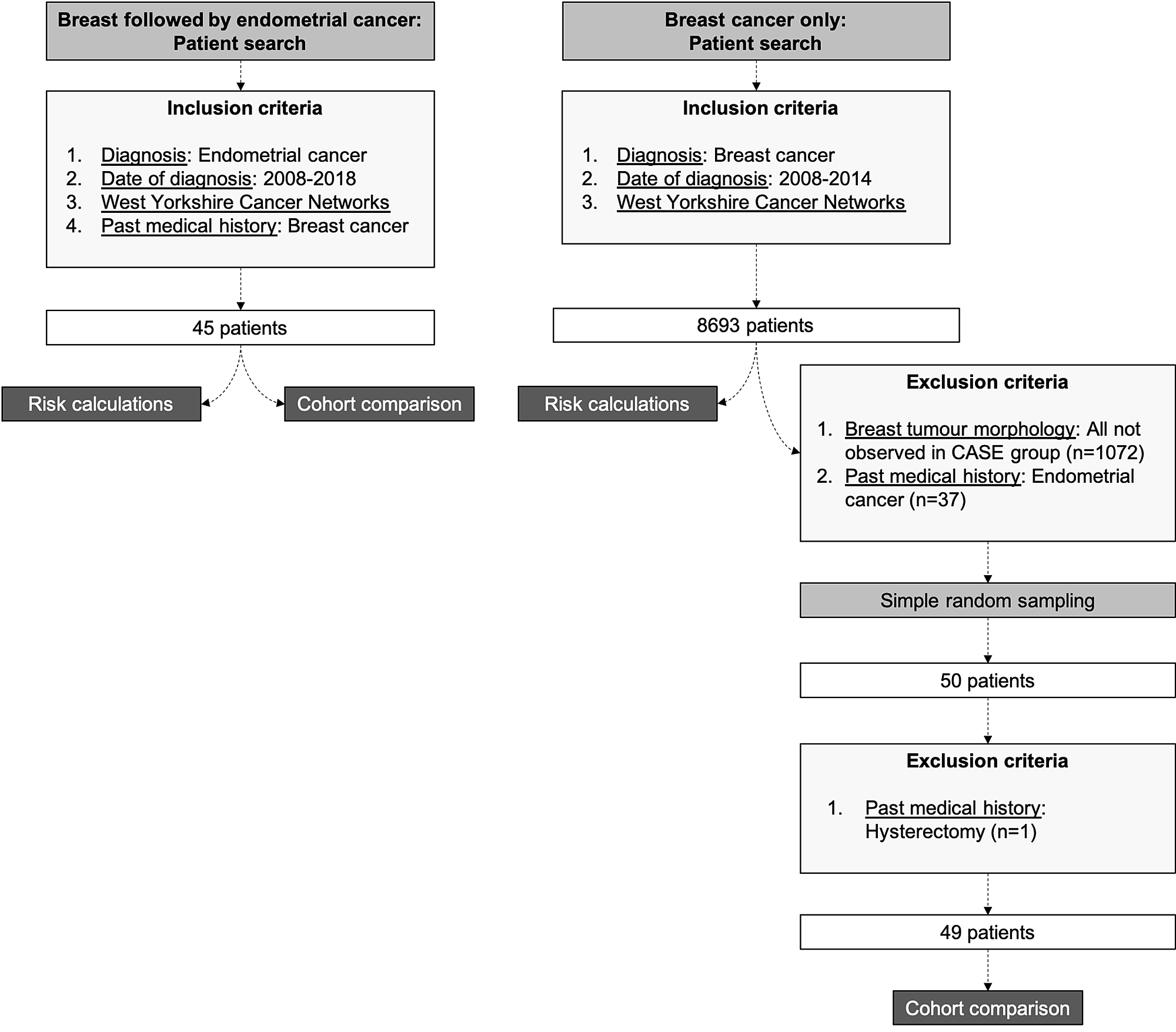Cureus Breast Cancer Patients At Increased Risk Of Developing Type Ii Endometrial Cancer Relative And Absolute Risk Estimation And Implications For Counseling