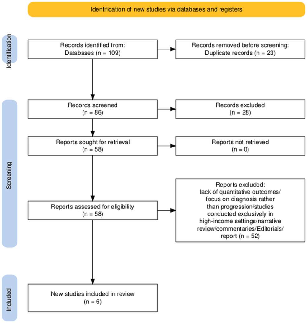 AI for Diabetic Retinopathy detection in LMICs