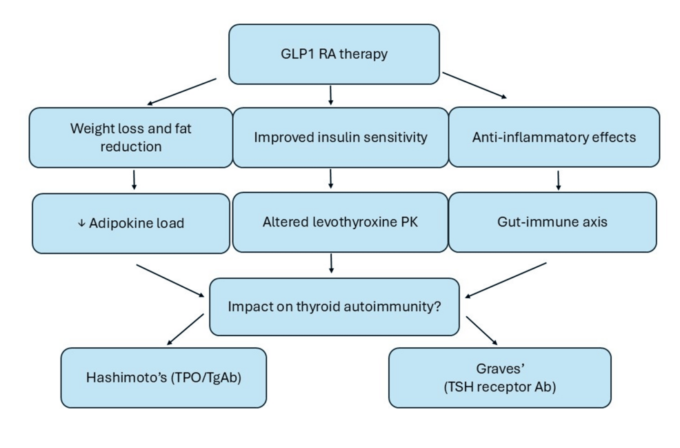 The Thyroid Twist: How GLP-1 Agonists Are Influencing Autoimmune Thyroid  Care