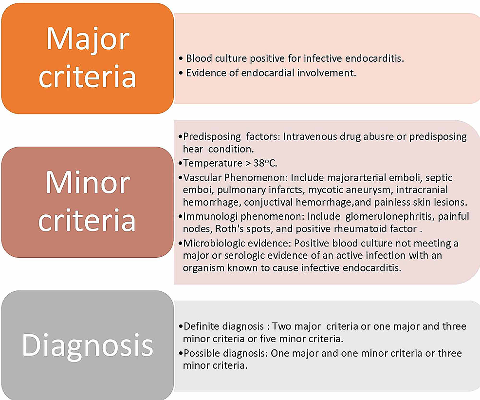 Cureus | Infective Endocarditis Leading to Intracranial Abscess: A Case ...