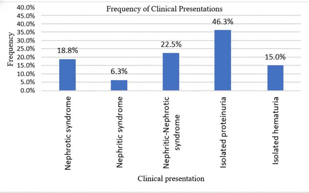 Association of Activity and Chronicity Indices With Clinical Presentation and Biochemical Parameters in Pediatric Lupus Nephritis