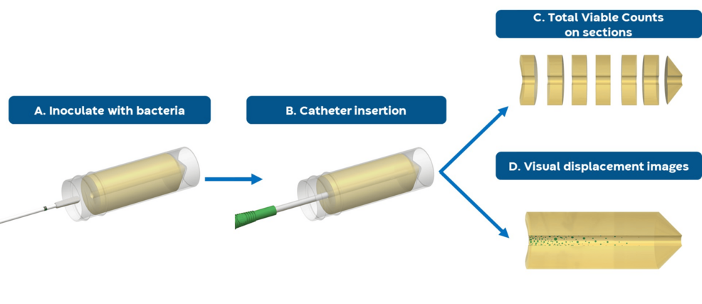 Investigating the Effect of Intermittent Catheter Lubricant Type on the Transfer of Urinary Tract-Related Bacteria Using an In Vitro Bacterial Displacement Test