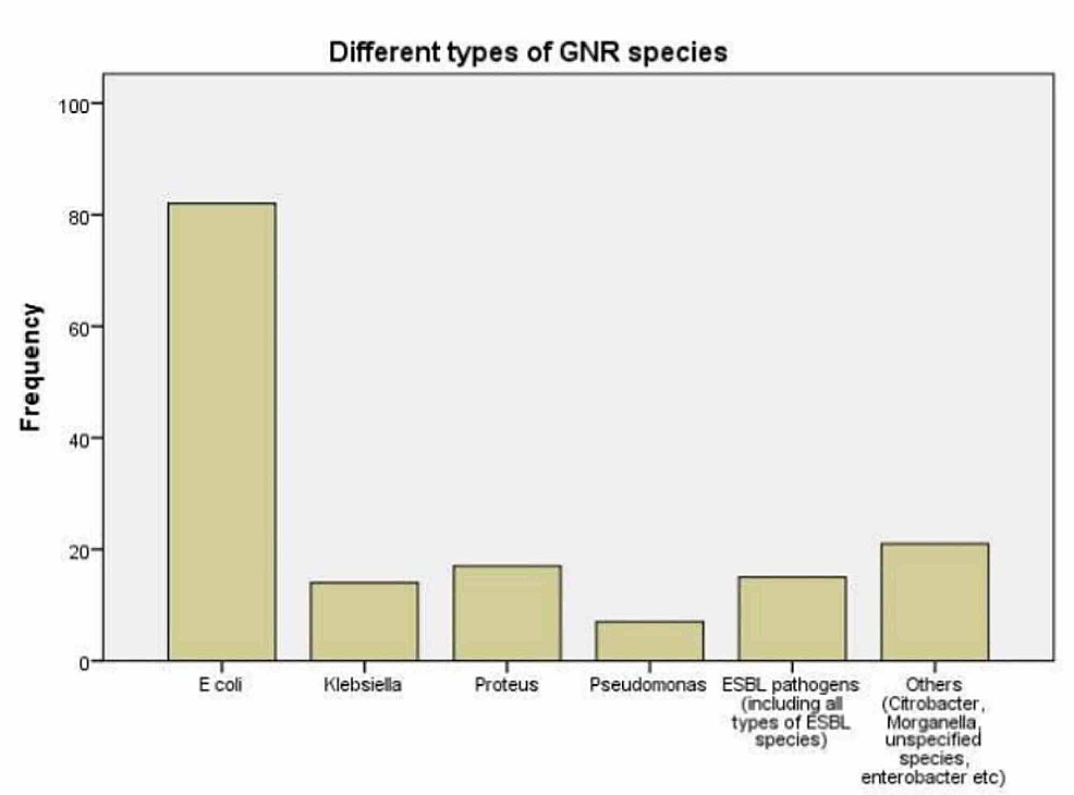 Cureus A Pattern of Antibiotic Resistance in GramNegative Rods