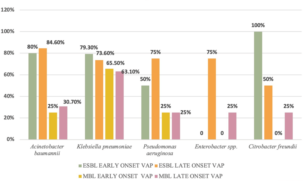 Unveiling Antibiotic Resistance in Ventilator-Associated Pneumonia  Patients: A Comprehensive Analysis