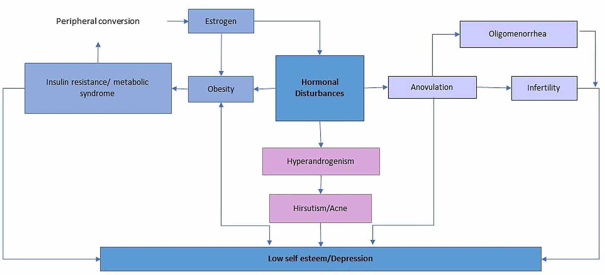 Cureus Why Are Women With Polycystic Ovary Syndrome At Increased Risk Of Depression Exploring The Etiological Maze