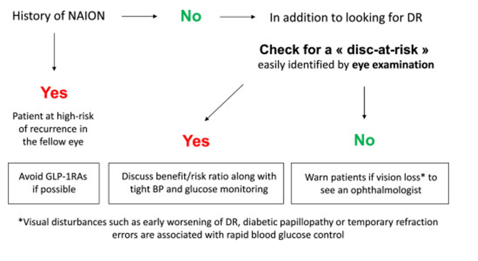 Sight Unseen: Glucagon-Like Peptide-1 (GLP-1) Agonism Therapy and Nonarteritic Anterior Ischemic Optic Neuropathy