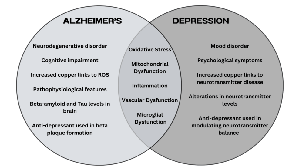 glutathione peptide dosage reddit The Crossroads of Neurodegeneration: Exploring the Overlap Between  Alzheimer's Disease and Depression