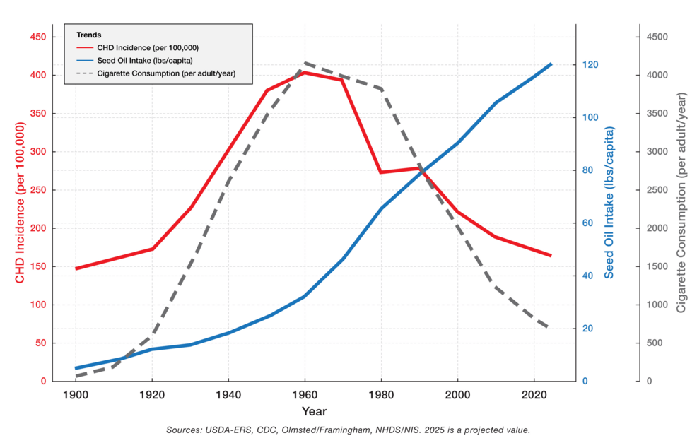 Seed Oils as a Hypothesized Contributor to Heart Disease: A Narrative Synthesis