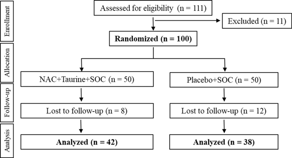 The Efficacy and Safety of N-acetylcysteine and Taurine (Nefrosave®) in  Chronic Kidney Disease: A Double-Blind, Multicenter, Placebo-Controlled  Trial (DELAY-CKD)