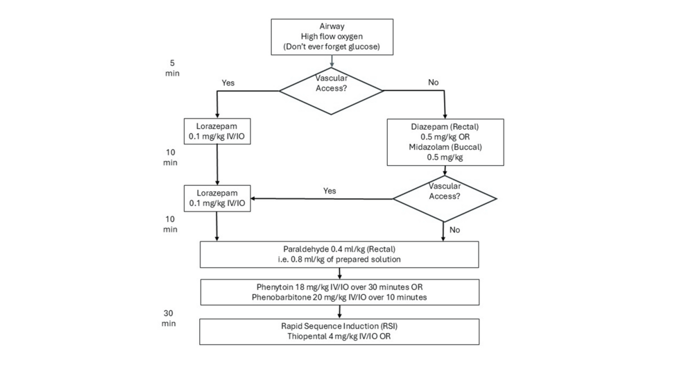 Clinical Audit of Convulsive Status Epilepticus in Children Admitted to Paediatric Intensive Care - News Directory 3