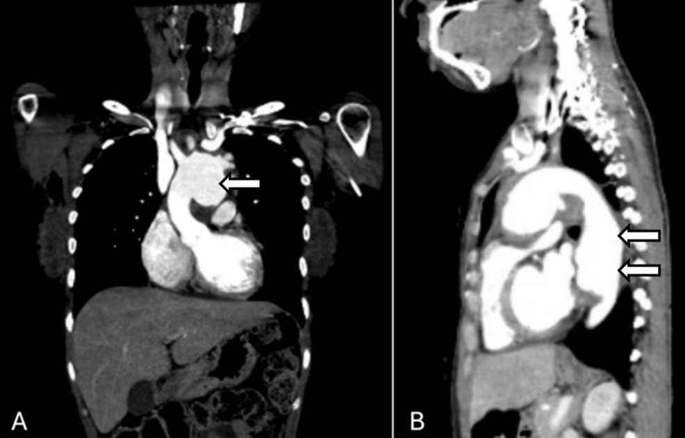 Medical Specialties List: Find Your Profession | Healthcare Fields - News Directory 3